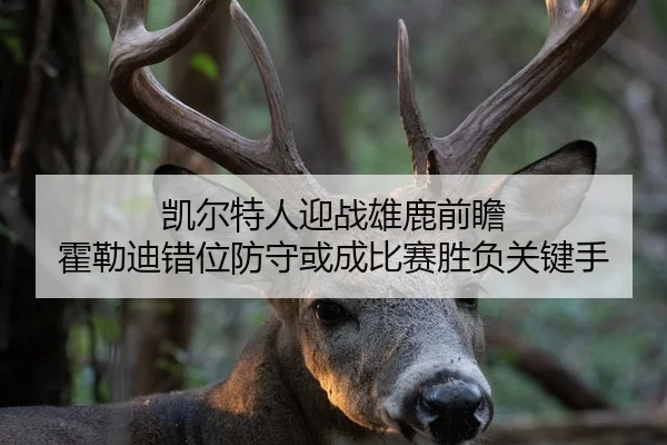 凯尔特人迎战雄鹿前瞻 霍勒迪错位防守或成比赛胜负关键手