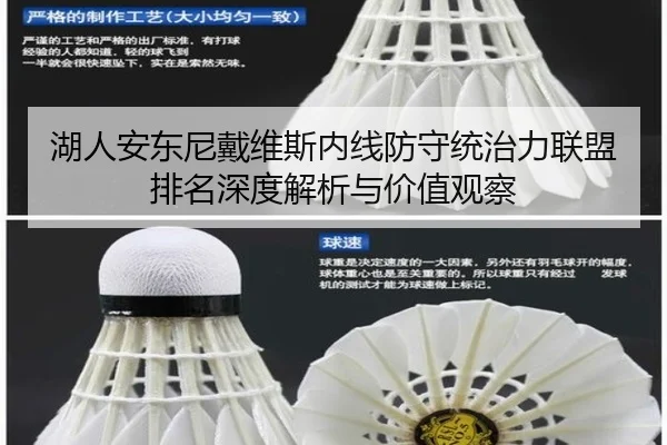 湖人安东尼戴维斯内线防守统治力联盟排名深度解析与价值观察